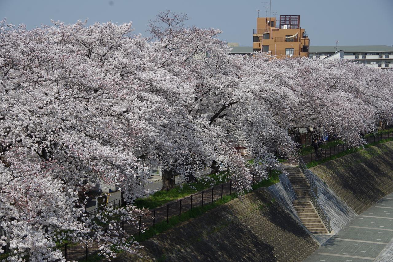 Aparthotel Kamo Riverside Kyonoya Kyōto